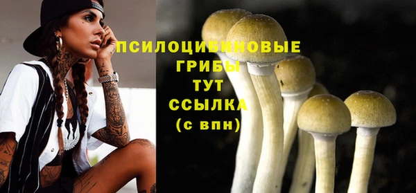 марки nbome Козельск
