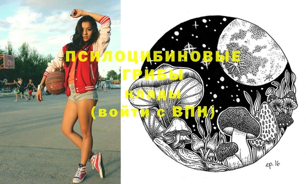 apvp Кодинск