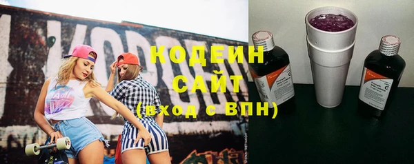 apvp Кодинск