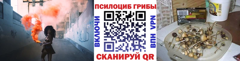 Галлюциногенные грибы мухоморы  хочу   Черкесск 