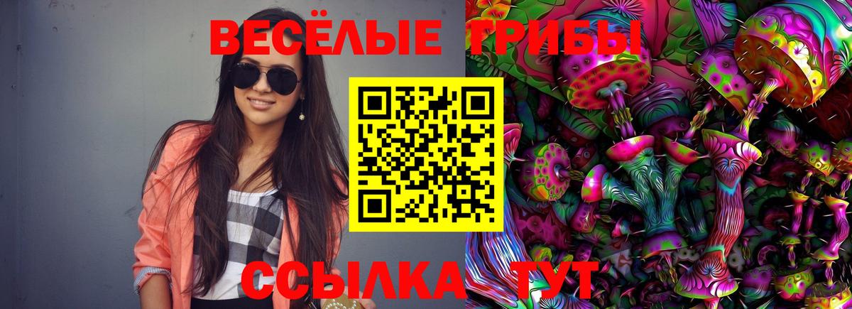 где найти наркотики  Псилоцибиновые грибы Psilocybe  Черкесск  Вход с VPN  Галлюциногенные грибы прущие грибы 